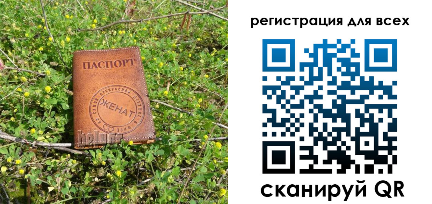 прописка регистрация в Кингисеппе